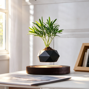 Pot à Bonsaï à Lévitation Magnétique, Ornement de Bureau, Pot de Plante Flottant, Décoration Zen Minimaliste - Product Image 4