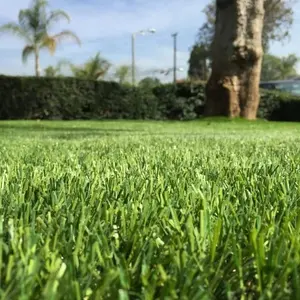NWT Faux <span class=keywords><strong>Herbe</strong></span> Gazon Artificiel Pelouse Gazon Simulation Plantes <span class=keywords><strong>Tapis</strong></span> En Plastique Décorer pour Patio <span class=keywords><strong>Balcon</strong></span> - Product Image 1