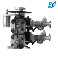 Motor de Gasolina de Dos Tiempos con Inyección Electrónica de Combustible de 550 cc, Unidad de Potencia Confiable para Vehículos Aéreos de Ala Fija para Topografía y Cartografía