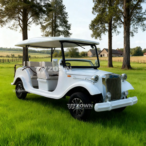 Voiturette de golf électrique classique blanche avec toit ouvert et design vintage pour utilisation en parc - Product Image 6