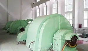 Wasser turbine 200KW 500kw 1mw Permanent magnet generator Pelton turbine mit niedriger Drehzahl