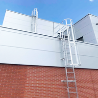 Échelle d'évacuation d'urgence au plafond d'un entrepôt industriel Échelle à cage en fer suspendue à vendre
