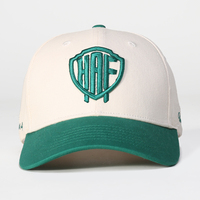 Gorra de Béisbol de 5 Paneles, 100% Algodón, Logotipo Bordado en 3D Personalizado, Gorra Deportiva Unisex, Precio de Fabricante