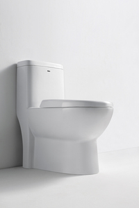 BOLINA Mỹ cupc giấy chứng nhận tiêu chuẩn bán buôn S-trap ADA Chiều cao tiêu chuẩn tuôn ra kéo dài siphonic một mảnh nhà vệ sinh - Product Image 6