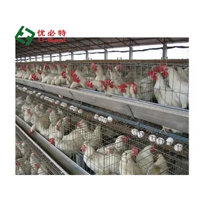 Precio barato 4 niveles Casa de pollo automática granja de aves de corral jaula de pollo para capa