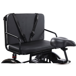 Triciclo Eléctrico Ruso en Stock de 24 Pulgadas con Neumáticos Anchos y Pedales, Asiento Abierto, Carga Útil de 100-200 kg - Product Image 5