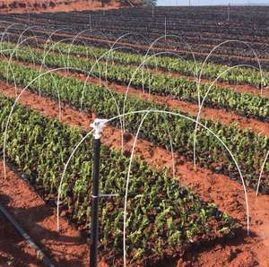 Tige de fibre de verre Pultrusion 3mm, tiges de fibre de verre solide flexible - Product Image 4