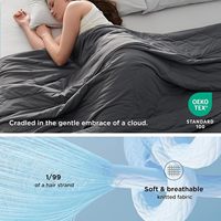 Couvertures Rafraîchissantes pour les Nuits Chaudes - Couette Rafraîchissante, Couverture d'Été Froide Taille King pour Lit Gris Foncé King 104 X 90 Pouces