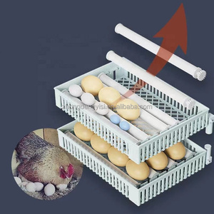 Equipo de Avicultura, Mini Incubadora de 24 Huevos para Codornices, Gansos y Patos, Incubadora de Huevos de Gallina, 220V Doble - Product Image 4