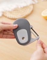 Hete Aanbieding: 3-in-1 Draagbare Fruit- en Komkommer Schiller, Buiten te Gebruiken Draagbare Groenteschiller en Schilmesje