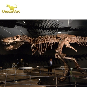 Réplicas de Esqueletos de Dinosaurios de Tamaño Real, Fósiles de Dinosaurios Reales - Product Image 4