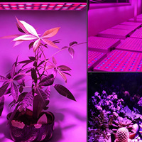 LED Kweeklamp Paneel 25W 45W 65W Rood Blauw Volspectrum LED Kweeklampen voor Binnenplanten Zaaien Groei en Bloei