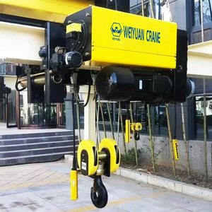 Paranco Elettrico Personalizzato Weiyuan a Catena Singola e Doppia con Gancio per Operazioni di Sollevamento Fluide, Utilizzato per Gru - Product Image 1