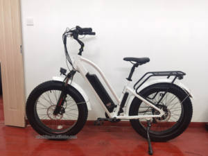 <span class=keywords><strong>Bafang</strong></span> — kit de motorisation de vélo électrique avec <span class=keywords><strong>moteur</strong></span> dans la <span class=keywords><strong>roue</strong></span> <span class=keywords><strong>arrière</strong></span>, 48V, 500/750W, Suspension avant, Step, cross, pneus larges, plage - Product Image 5