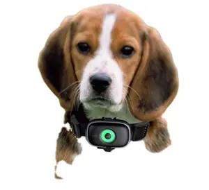 Venta al por mayor Tractive Mini Gps Tracking Pet Tracker Collar Gps Para Gatos Gps Collar para perros de caza