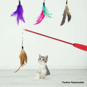 Hot Selling Modern Style Kunststoff Pet Teaser Spielzeug Interaktive Vogel feder Katzen stab für Kitty Teasing - Product Image 2