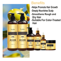 Marque Privée OEM/ODM Yedda Maroc Huile d'Argan Naturelle Bio Shampooing Revitalisant et Sérum Capillaire Coffret