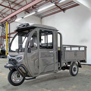 Hàng hóa điện 3-bánh Xe ba bánh với 60V động cơ 1000 Wát điện 400kg tải trọng công suất mở/đóng thép cơ thể - Product Image 6