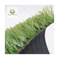 China Hochwertiges Zertifikat Fußballplatz Rasen 40mm 50mm 60mm Synthetic Football Frass Probe Outdoor für Play gournd