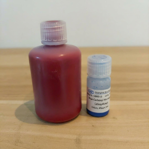 Billes de polystyrène colorées modifiées par COOH, rouge, vert, bleu disponibles pour les tests de laboratoire courants - Product Image 1
