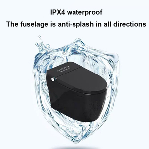 Керамическая сантехника для дома - Product Image 4
