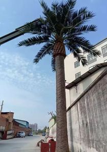 Hot Bán Ngoài Trời Nhân Tạo Rong Biển Cây Lớn Cây Dừa Giả Nhân Tạo Lá Cọ - Product Image 5