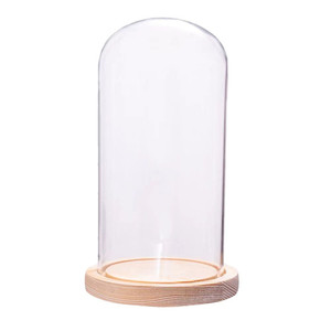 Campana de Cristal Decorativa Ecológica de 12 cm de Diámetro y 12-35 cm de Altura, Base de <span class=keywords><strong>Madera</strong></span> Maciza, Decoración para el Hogar Reciclable y Personalizable - Product Image 2