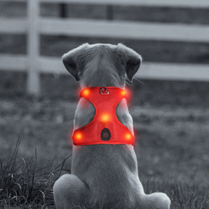 Arnés de chaleco para perro <span class=keywords><strong>LED</strong></span> recargable por USB <span class=keywords><strong>Collar</strong></span> ajustable impermeable para mascotas con luces intermitentes brillantes patrón sólido - Product Image 1