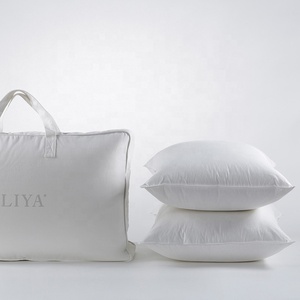 ELIYA 2026 Nouvelle Arrivée Best-seller Rembourrage Écologique 70% Duvet de Canard Housse en Lin Couleur Blanche <span class=keywords><strong>Oreiller</strong></span> 1-1,5Kg - Product Image 1