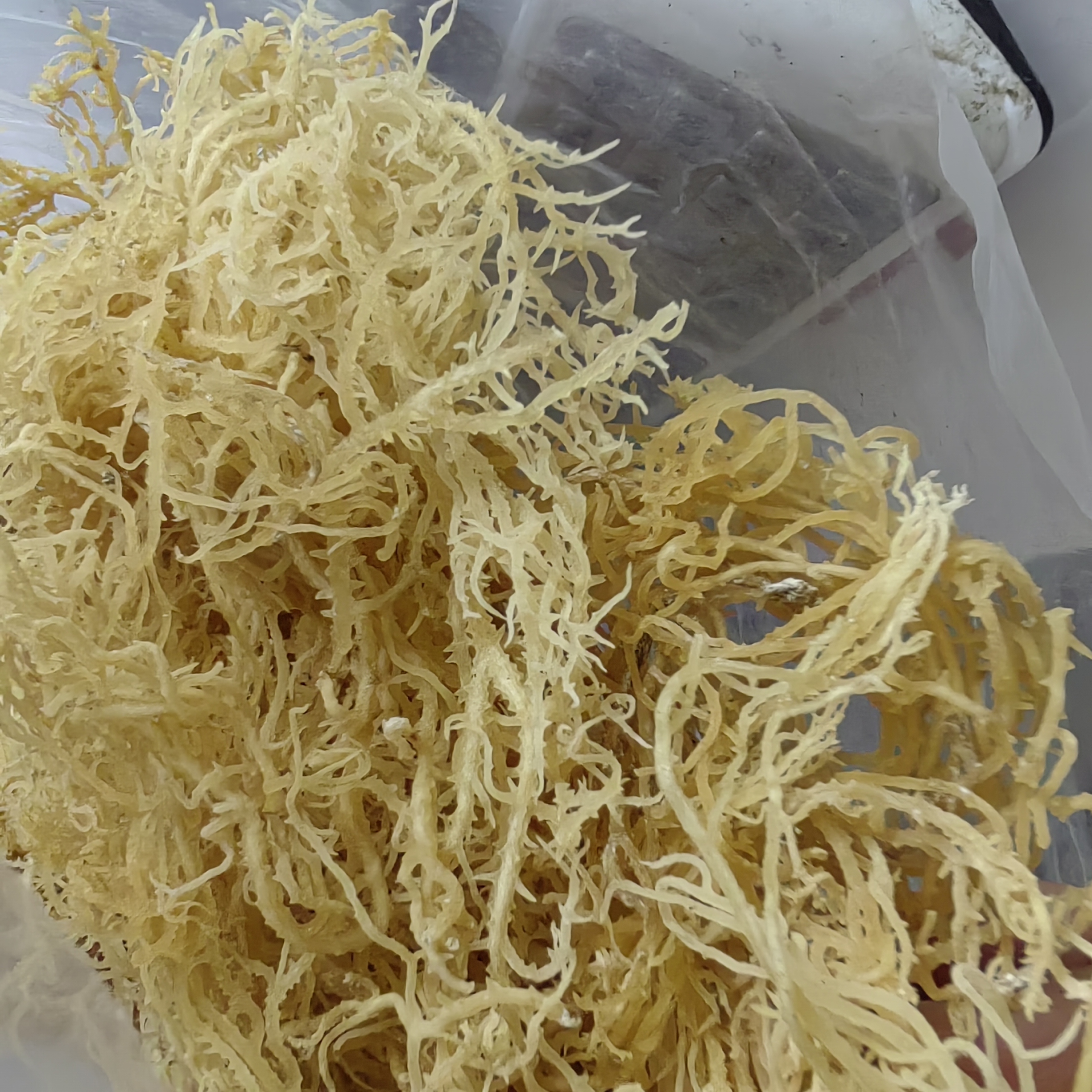 Сушеные водоросли Eucheuma Cottonii из Вьетнама, высококачественный ирландский морской мох для продажи