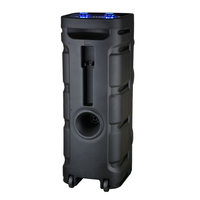 Haut-parleur portable d'extérieur PA avec double woofer de 10 pouces, tweeter, Bluetooth, USB, TF, radio FM, rechargeable, karaoké, avec micro sans fil