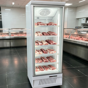 <span class=keywords><strong>Congelador</strong></span> <span class=keywords><strong>vertical</strong></span> de alta calidad con puerta de vidrio, desempañamiento automático y refrigeración por aire para carne y helados, <span class=keywords><strong>vitrina</strong></span> para supermercados - Product Image 5