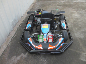 Les enfants de catégorie professionnelle vont équipement de <span class=keywords><strong>karting</strong></span> pour des terrains de jeu sûrs et Thril - Product Image 2