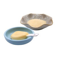 Gélatine instantanée de qualité alimentaire à haute résistance au gel Foodmate E441 industrielle