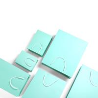 Fabrik preis Bunte Luxus-Kraft papiertüten-Geschenk-Einkaufs papiertüten mit Griff