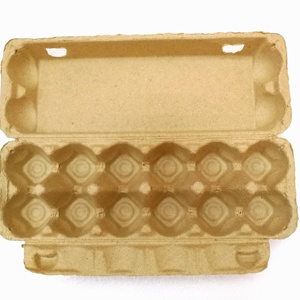 Paper Pulp Egg Carton Biodegradable Pulp Fiber Egg Tray Molded Paper Pulp Packaging Tray Carton Box For Shipping