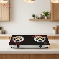Cuisinière à gaz à 2 brûleurs en acier inoxydable de bonne qualité avec un nouveau design pour une utilisation domestique, hôtelière, automobile et en camping-car