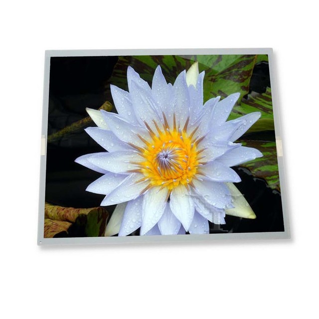 C062SWP1-1 6.2 Inch Digital Photo Frame and Portable DVD Player  Lcd Display 800*480 in Stock Lcd Screen Module