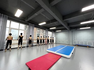 PVC tùy chỉnh kích thước không khí theo dõi Mat cho thể dục dụng cụ - Product Image 5