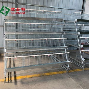 Système d'alimentation automatique pour élevage de volailles, cages à batterie pour poulets pondeuses - Product Image 5