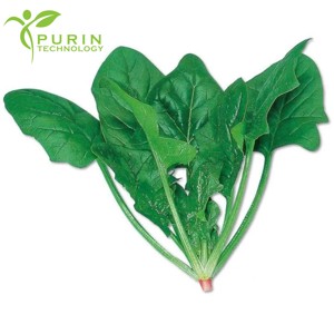 Tự nhiên spinacia oleracea chiết xuất cho chức năng sản xuất thực phẩm - Product Image 2