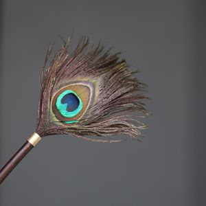 Handmade Bamboo Handle Peacock Feather Duster 53cm Long Soft Fragile Ornament Cleaner Buddha Statue Cleaning Tool - Product Image 4