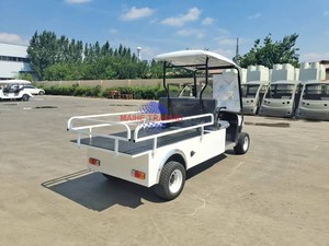 Voiturette de golf électrique de luxe personnalisée à 2 places, nouvelle conception, véhicule utilitaire routier électrique à 2 sièges - Product Image 2