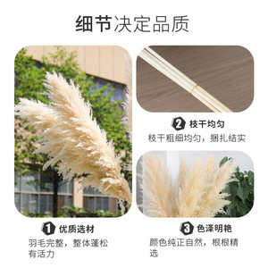 Ramo <span class=keywords><strong>de</strong></span> Flores Secas Naturales <span class=keywords><strong>de</strong></span> Junco Grande - Decoración <span class=keywords><strong>de</strong></span> Flores Eternas para el Día <span class=keywords><strong>de</strong></span> San Valentín, Pascua, Año Nuevo - Venta al por Mayor <span class=keywords><strong>de</strong></span> Fábrica China - Product Image 4