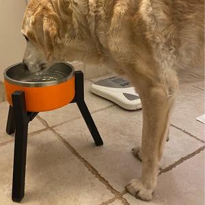 Ajustável Dog Food e Água Bacia Stands Single Tier Pet Feeder Rack Bowl Stand - Product Image 2