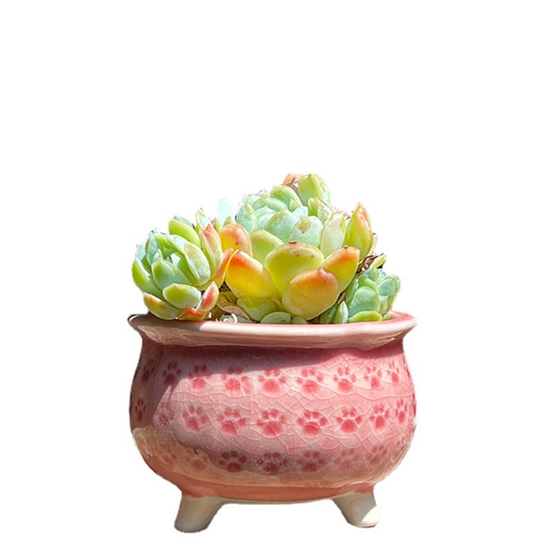 Msh Succulent Flower Pot Ceramic Ice Crack Cat Claws Desktop Green Planter