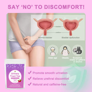 Thé de soutien et de défense des voies urinaires pour soulager l'inconfort, favoriser une miction fluide et restaurer l'équilibre, santé naturelle et biologique - Product Image 4