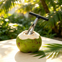 Perforateur de noix de coco robuste vert, outil manuel portable en acier inoxydable pour ouvrir les noix de coco