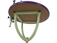 Table de toilettage électrique réglable de haute qualité pour animaux de compagnie, construction en fer, pliable, avec fonctions de levage, pour chiens et chats, brosses et outils de nettoyage