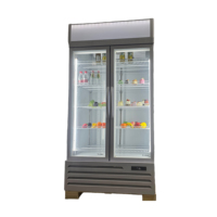 Réfrigérateur vertical de qualité supérieure à fréquence variable pour boissons et aliments, avec contrôle précis de la température